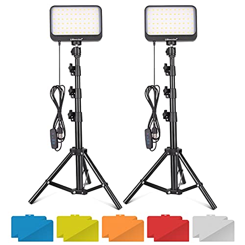 LED Video Light Kit with 2 Dimmable Lights and Tripod
