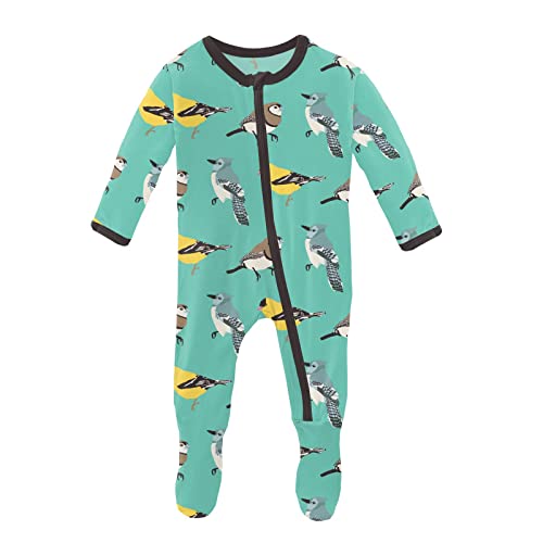 Print Footie with Zipper, Fitted Long Sleeve Pajamas, Ultra Soft Everyday One-Piece Loungewear, Baby and Kid Clothes for Boys and Girls (Glass Spring Birds - 0-3 Months)