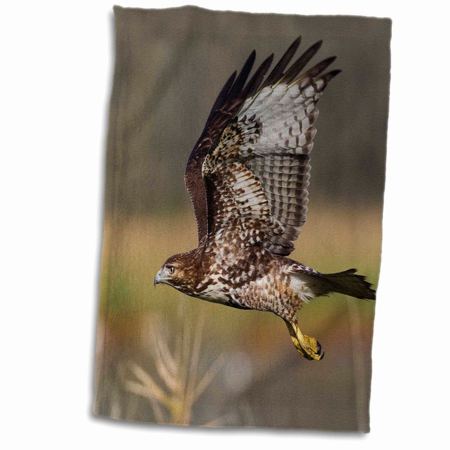 Red-Tail Hawk Hand/Sports Towel 15x22 inches