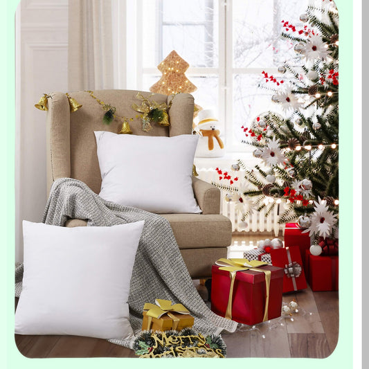 EuroSleep Hypoallergenic Pillow Inserts - 2 Pack Square Form, White - European Sleep Pillow Inserts for Sham - 26x26 Size - 2 Count Pack