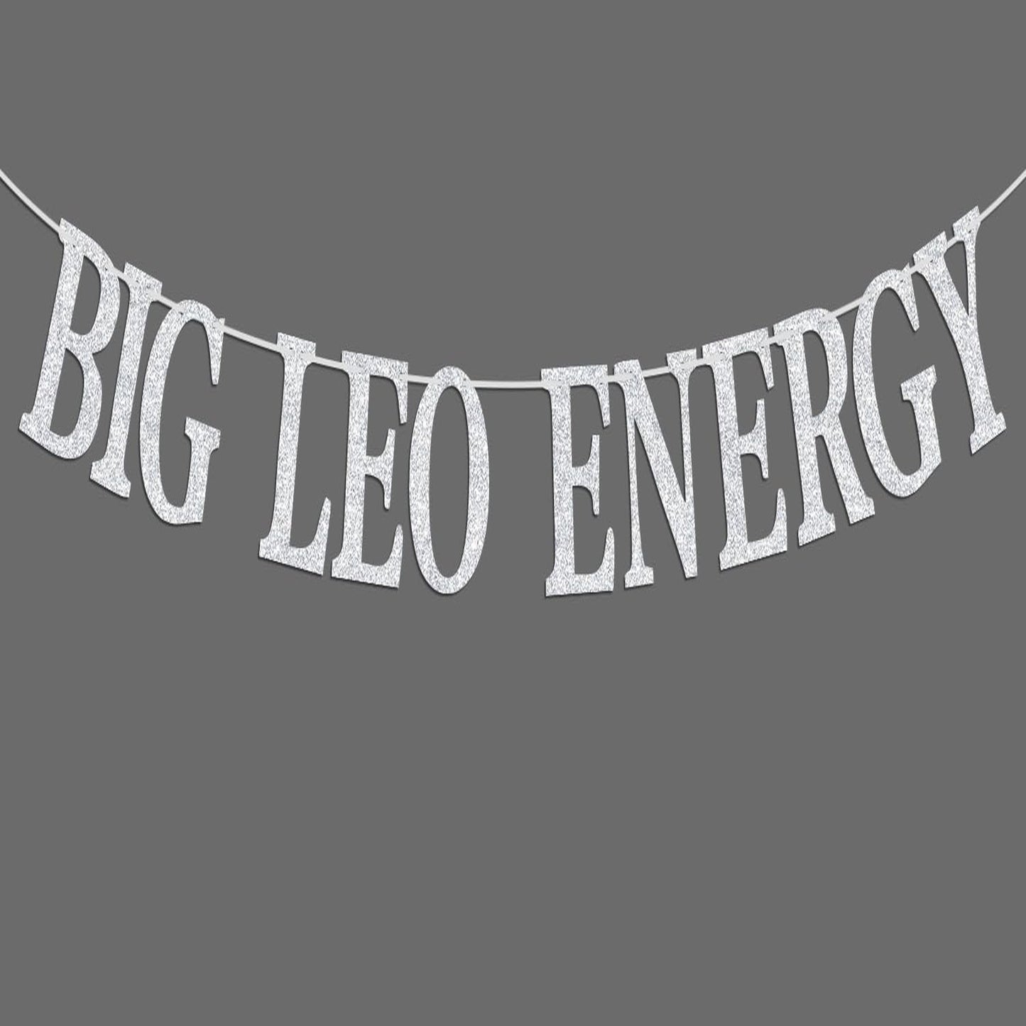 Glitter Leo Energy Banner - July/August Birthday Party Decor Set with 12 Constellation Theme Supplies - Silver Leo Big Banner