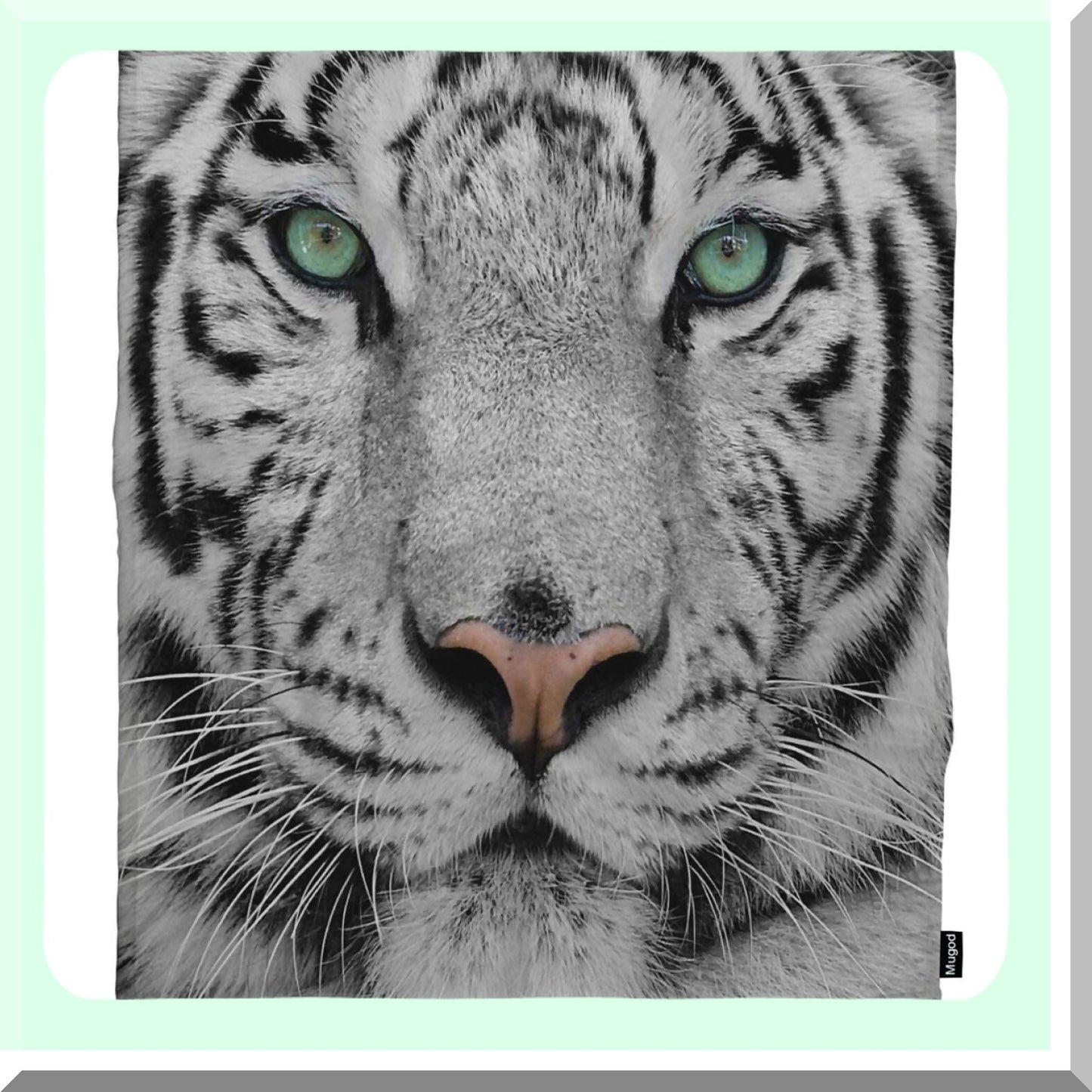 White Tiger Cozy Flannel Throw - Soft, Warm, Decorative Plush Blanket for Baby, Toddler, Dog, Cat - 30x40 Inch