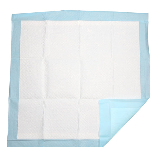 Greenbrier Kennel Club Heavy-Duty Pet Training Pads, 22x22 in. (Pack of 24)