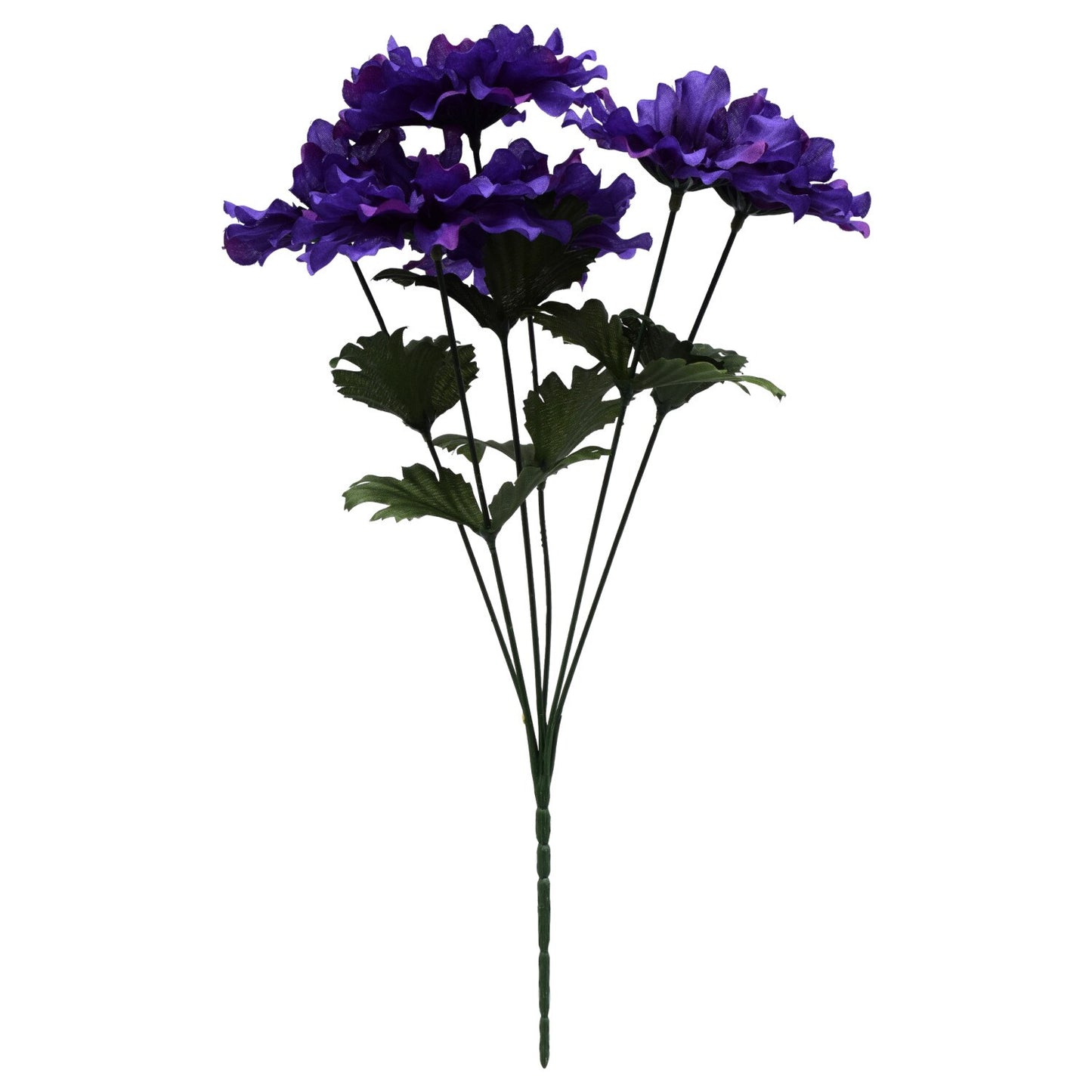 5-Stem Brightly-Colored Aster Bushes, 16 in. (Pack of 36)