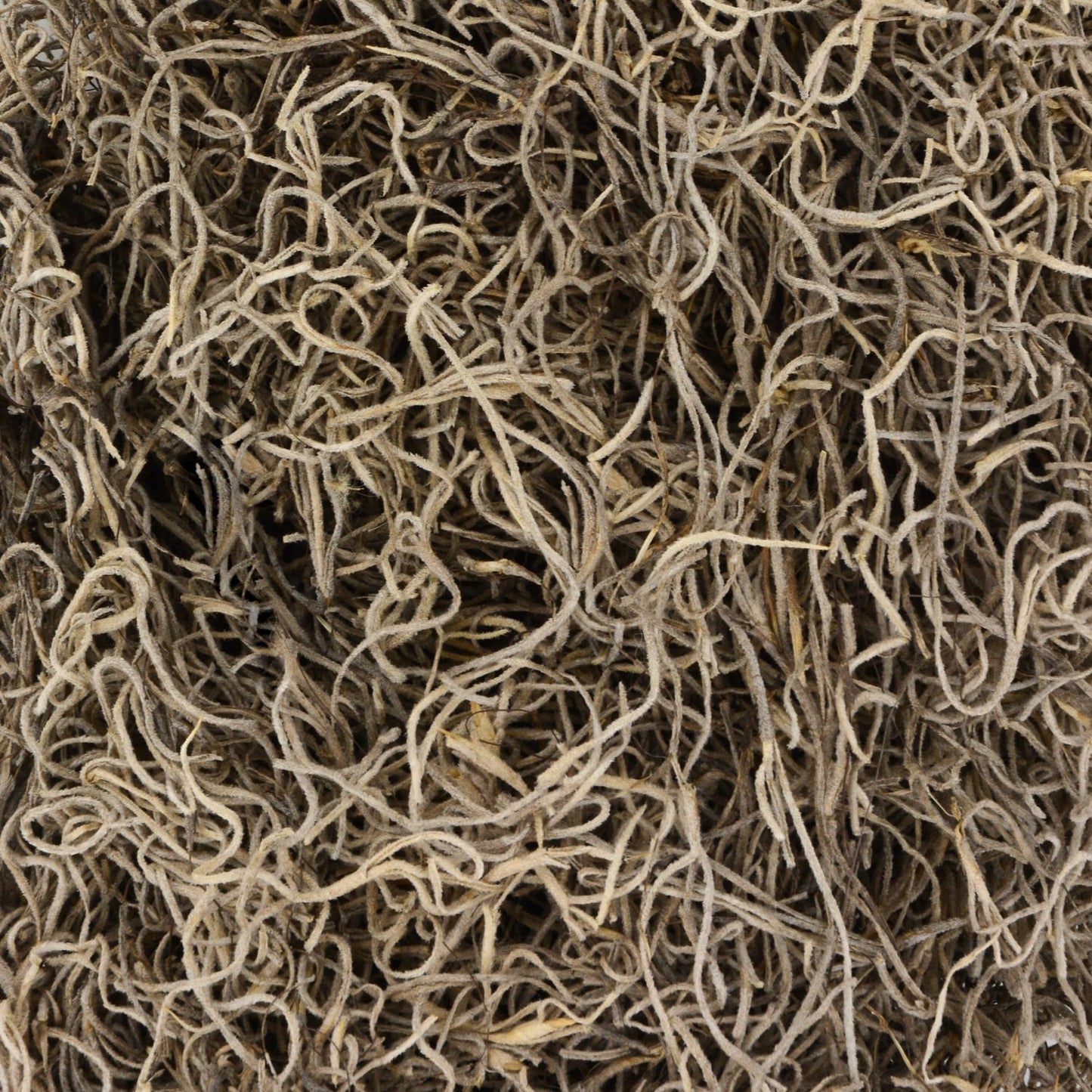 Crafter's Square Spanish Moss, 125 cu.in. (Pack of 4)