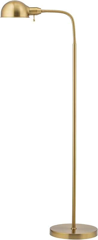 Adjustable Floor Lamp with Flexible Gooseneck and Rotatable Shade