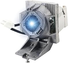 Replacement lamp bulb with housing for select projectors