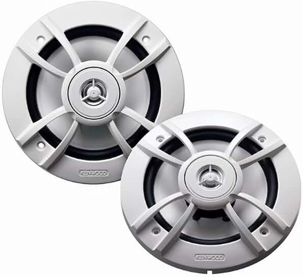 6.5-Inch 100W 2-Way Marine Speaker