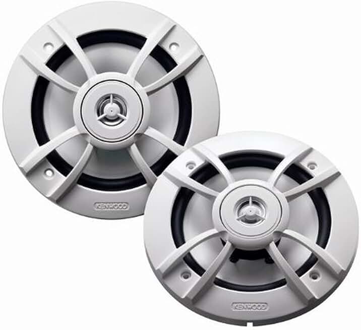 6.5-Inch 100W 2-Way Marine Speaker