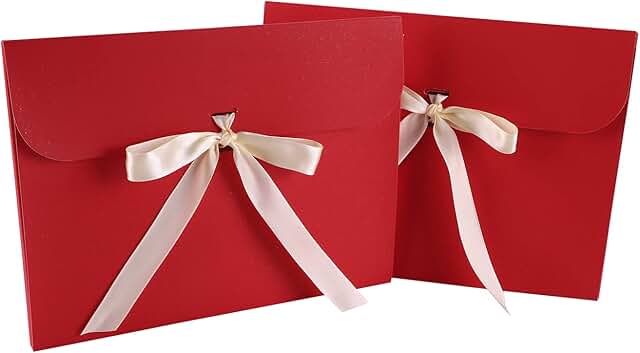 10 Paper Gift Envelope Bags with Ribbon Bow