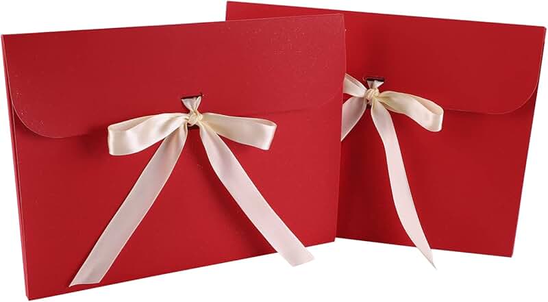 10 Paper Gift Envelope Bags with Ribbon Bow