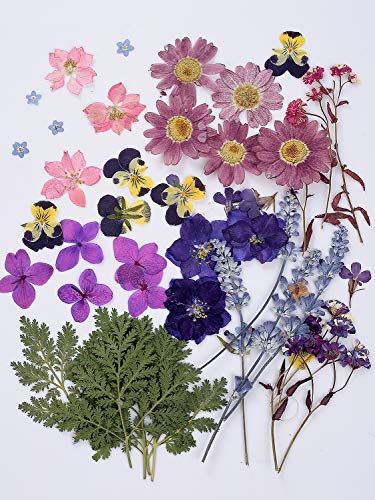 46pcs Dried Pressed Flowers Leaves for Resin Jewelry Craft