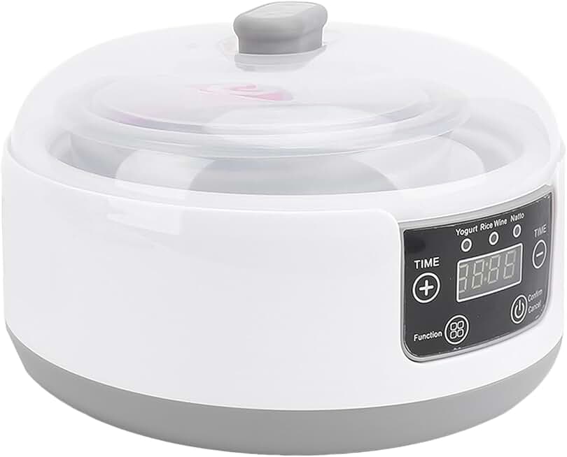 Electric yogurt maker for home use