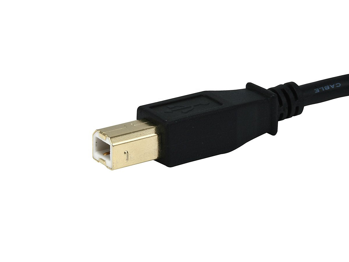 10ft Gold Plated 28/24AWG USB 2.0 A Male to B Male Cable