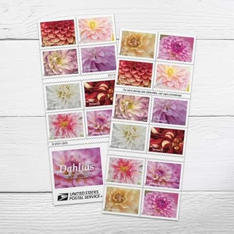 Dahlias 2025 Book of 20 Forever Postage Stamps