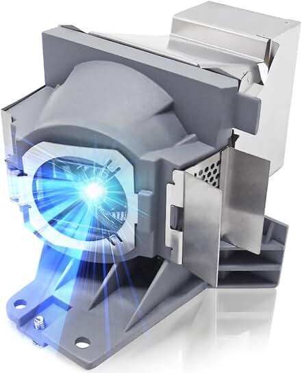 OEM Replacement Projector Lamp with Housing