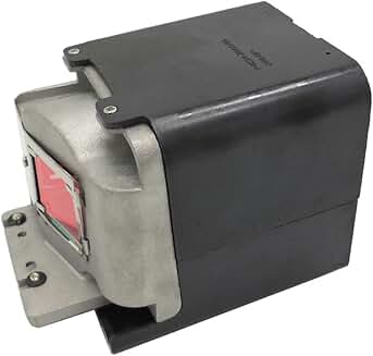 Replacement projector lamp bulb with housing