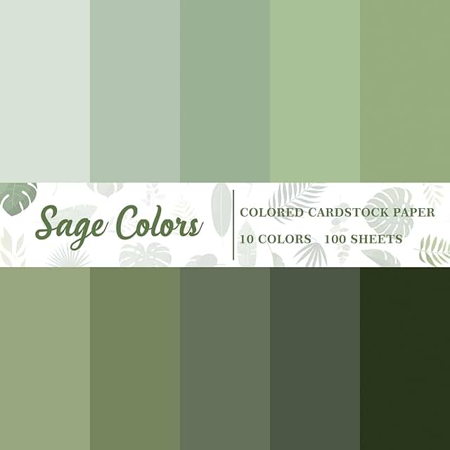 100 Sheets of Sage Green Assorted Card Stock Paper, 8.5 x 11, 65lb