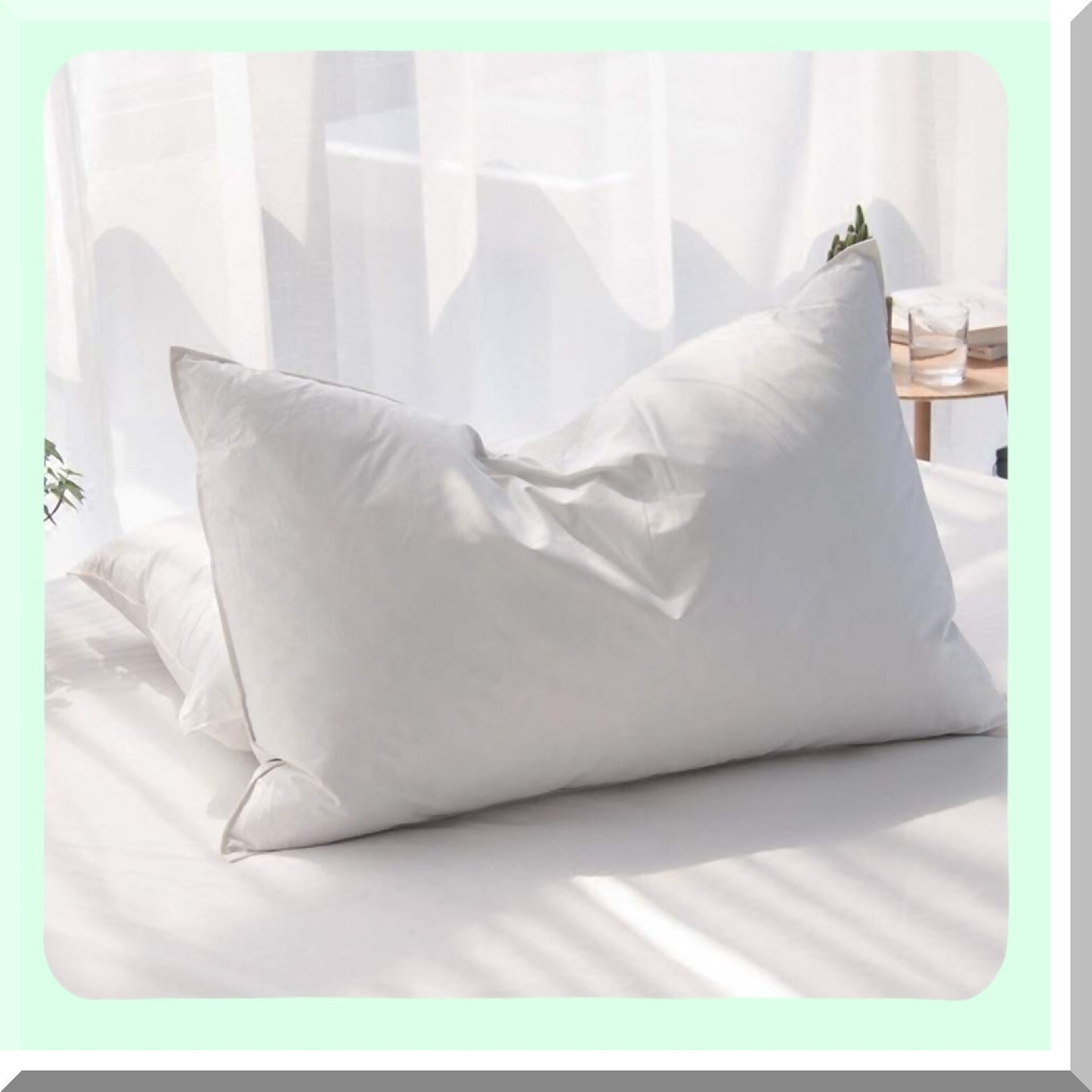 PlushDreams Queen Size Luxury Down Pillow - Hotel Collection Soft Bed Pillow with Percale Cover - Premium Goose Feathers for Sleeping - 1 Pack