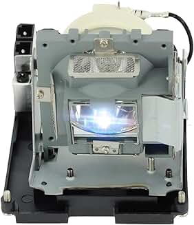 Replacement Lamp Bulb with Housing for Projector
