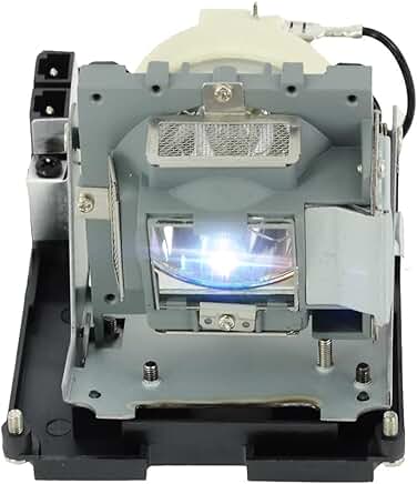 Replacement Lamp Bulb with Housing for Projector