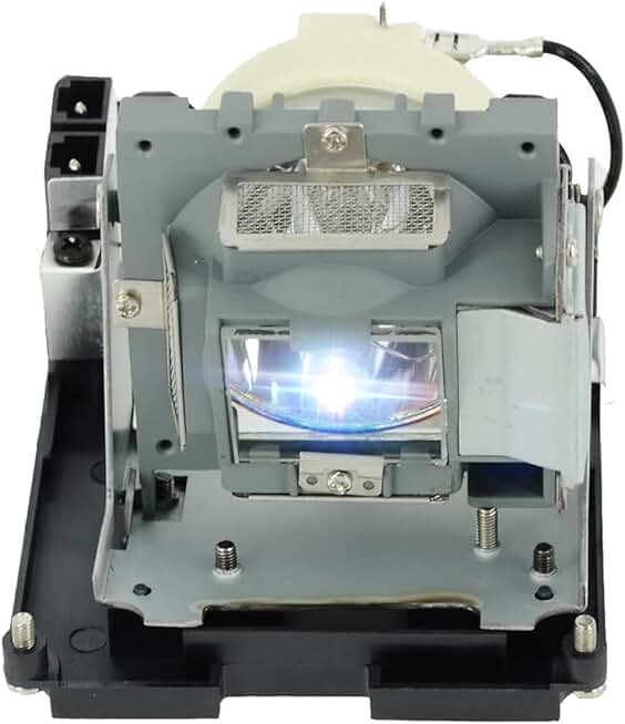 Replacement Lamp Bulb with Housing for Projector
