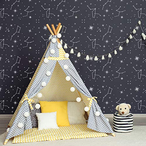 Reusable Plastic Wall Pattern 43x64cm Constellation Night Sky