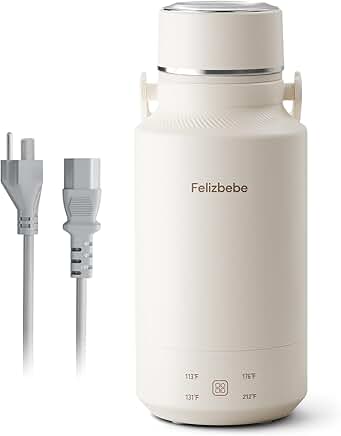 Portable 1000ml Electric Water Kettle with Temp Settings