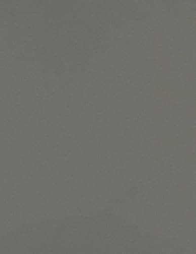 Smoke Gray Letter Size Paper, 80lb, 250 Sheets