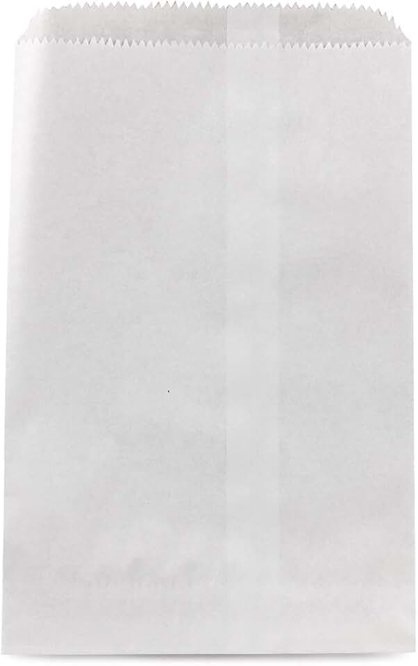 White 6x9 Inch Paper Bags, 100 Pack