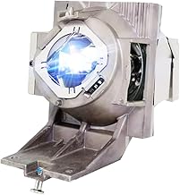 Replacement Lamp Bulb with Housing for Projector