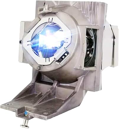 Replacement Lamp Bulb with Housing for Projector