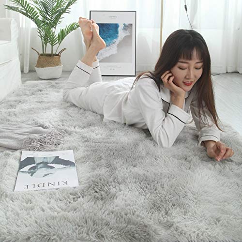 Soft Indoor Modern 6.6x10 Area Rugs Warm Soft Rug for Bedroom Decor Living Room Kitchen Non- Plush Fluffy Comfy Babys Care Cr ling Carpet Grey