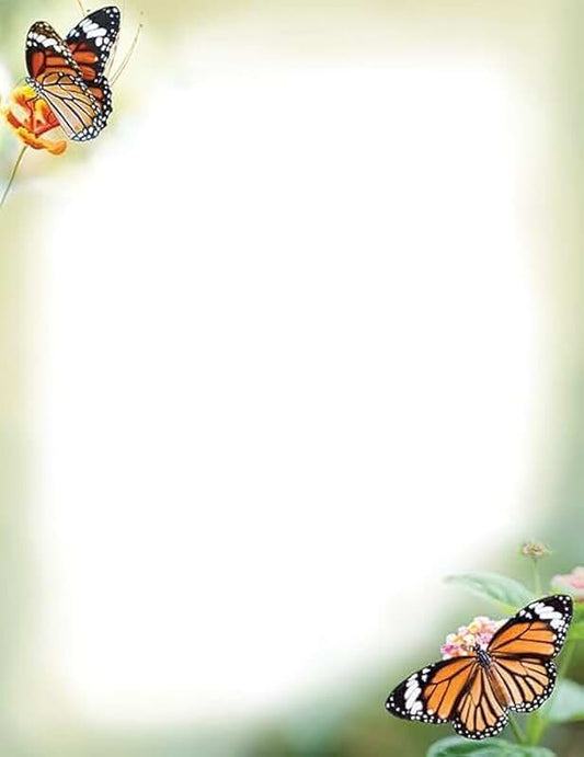 216-Piece Hawaiian Luau Party Favors Set