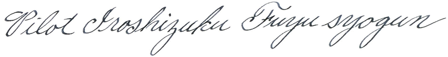 Cool Gray Fountain Pen Ink, 50ml