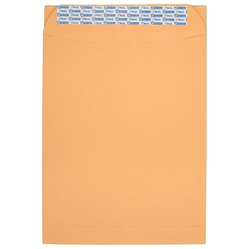 10 x 13 Inch Seal-It Envelopes, Pack of 20