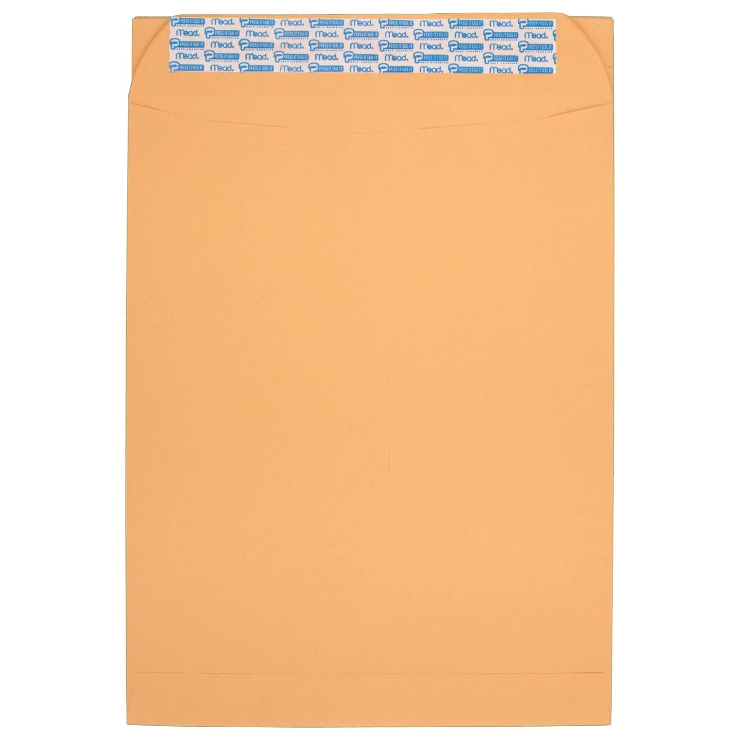 10 x 13 Inch Seal-It Envelopes, Pack of 20