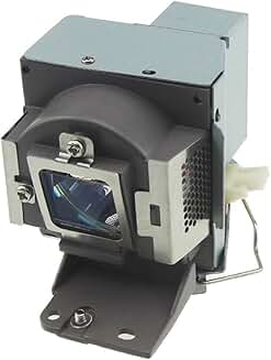 Replacement projector lamp bulb for select models
