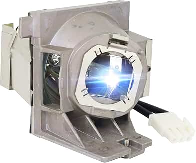 Replacement Lamp Bulb with Housing for Projector MW612