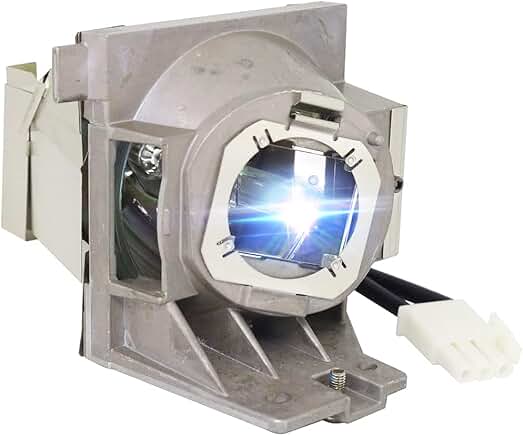 Replacement Lamp Bulb with Housing for Projector MW612