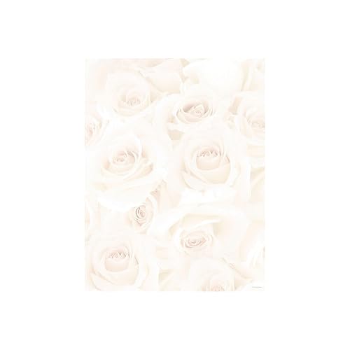 Blush Roses Letterhead, 80 Sheets, 8.5"x11"