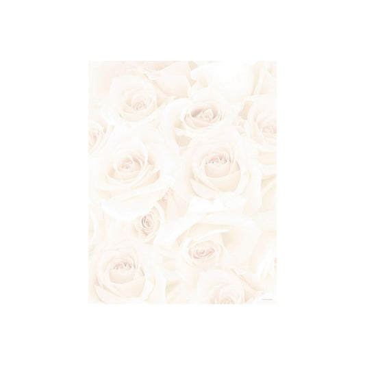 Blush Roses Letterhead, 80 Sheets, 8.5"x11"