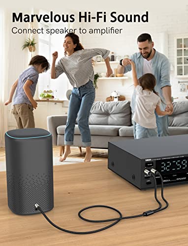 1/8 to 1/4 Stereo Cable (10ft/3m), 3.5mm 1/8'' TRS to Dual 6.35mm 1/4" TS Mono with Brass Plating Housing Braided Audio Breakout Cable for iPhone, Amp, Mixer, CD Players, Home Stereo Systems