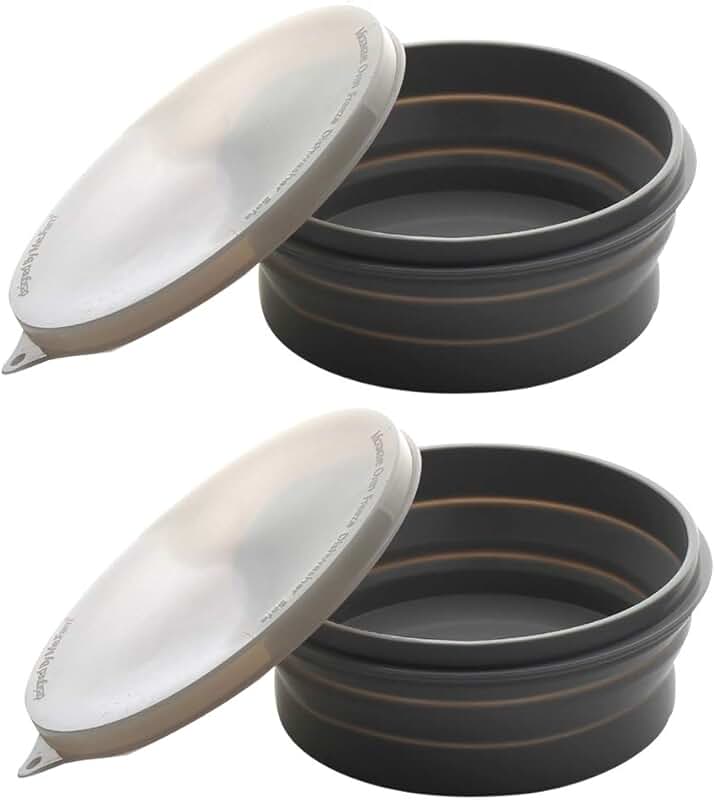Silicone Collapsible Travel Food Bowls Set, 27oz