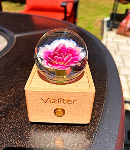Bluetooth Speakers Crystal Ball LED Lighting Premium Preserved Fresh Flower with Wood Base Never Withered Eternal Night Light (Pink Carnation)