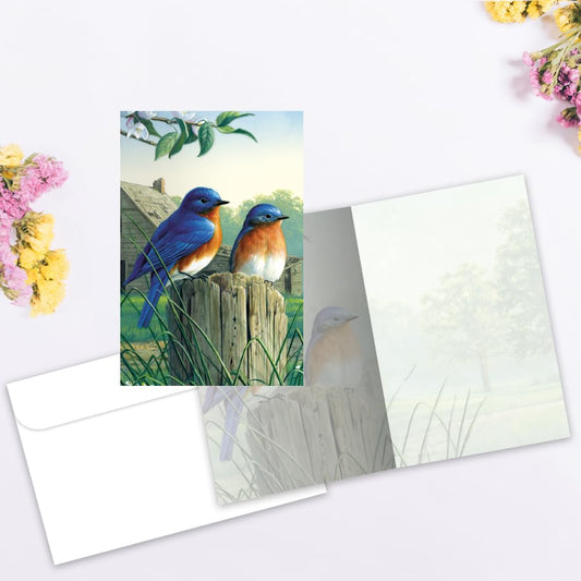All Occasion Greeting Cards with Bluebirds, 12 Pack