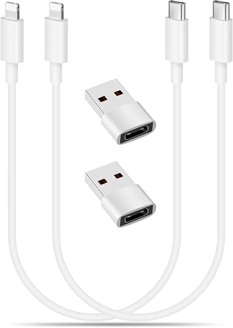 2-Pack 1Ft USB C to Phone Charging Cables