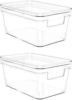 Clear Plastic Storage Bins with Lids, 2 Pack