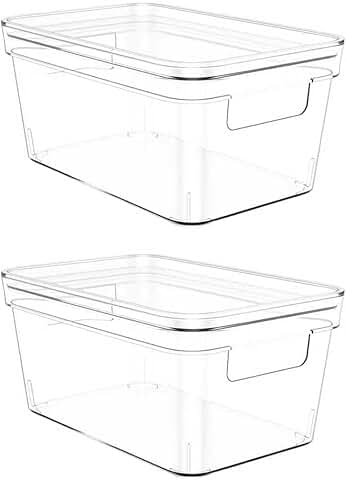 Clear Plastic Storage Bins with Lids, 2 Pack