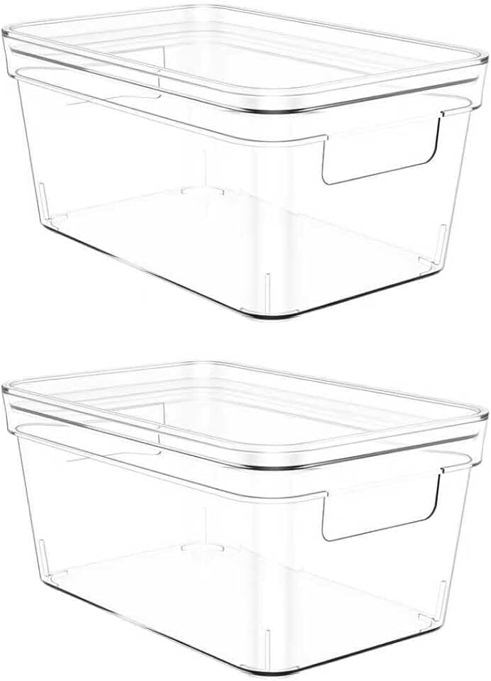 Clear Plastic Storage Bins with Lids, 2 Pack